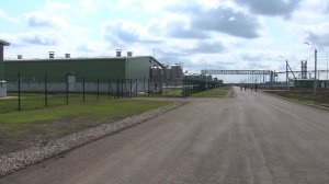 "Омский бекон". Перерождение