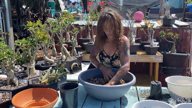 CactusCactusCactus  how beautiful April 1 2023