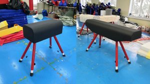 Гимнастические кони и козлы DNN