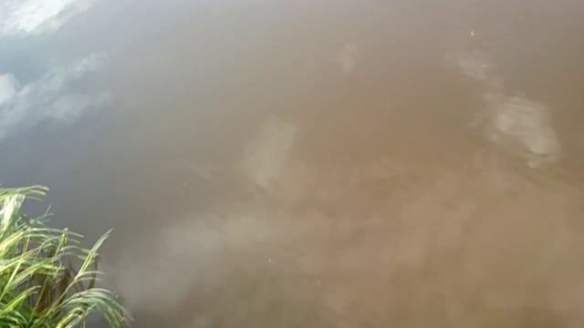 Ай,кусается смотреть онлайн