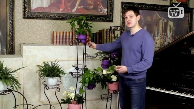 Стойки под цветы купить в подарок ? мебель интерьер дизайн - обзор ХитсадТВ