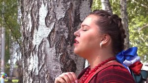 «Цвела черемуха»