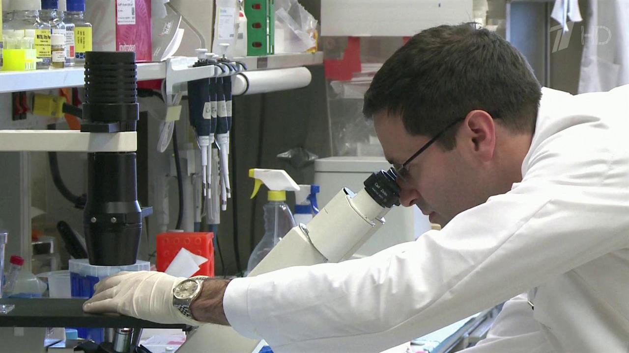 старший инженер. гендер в образовании. сухарев олег сергеевич. украинский программист. эксперты полагают.