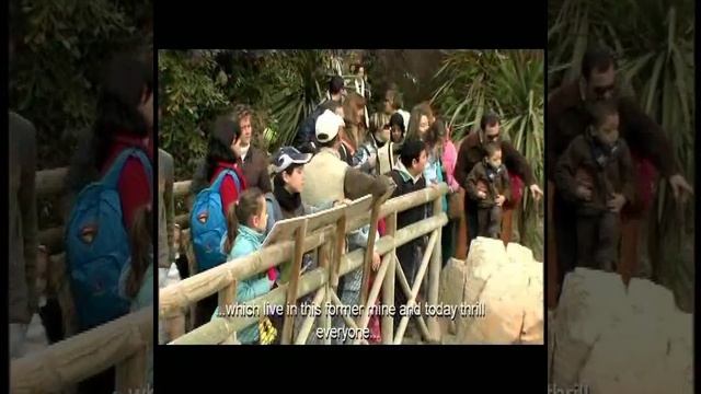 TERRA NATURA BENIDORM 2011 смотреть онлайн