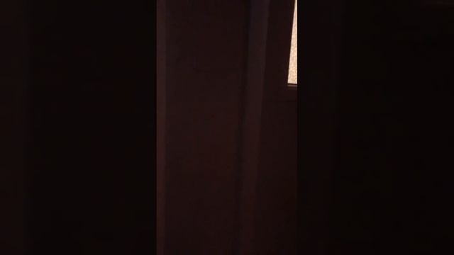 Обзор 1-комнатной квартиры смотреть онлайн