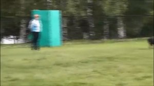 мондьоринг, голландская овчарка, 1 место, 05 09 2015