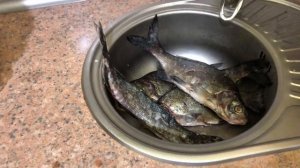 ПОЛНЫЙ ПРОЦЕСС ЗАСОЛКИ РЫБЫ!!! Сухой посол рыбы в любое время года. Самый быстрый и вкусный рецепт!