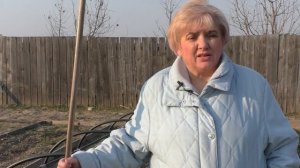 ЗАЧЕМ СЕЯТЬ СИДЕРАТЫ ВЕСНОЙ? Садим-сеем. Мой опыт.
