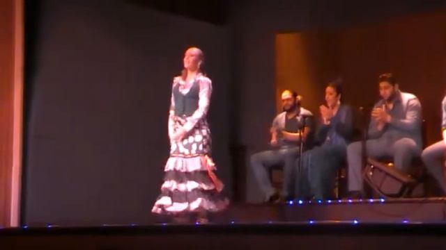 СТРАСТНОЕ ФЛАМЕНКО ОТ МИШЕЛЯ .ИСПАНИЯ. смотреть онлайн