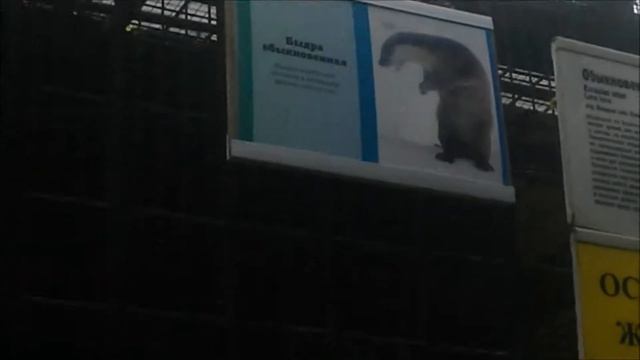 Зоопарк смотреть онлайн