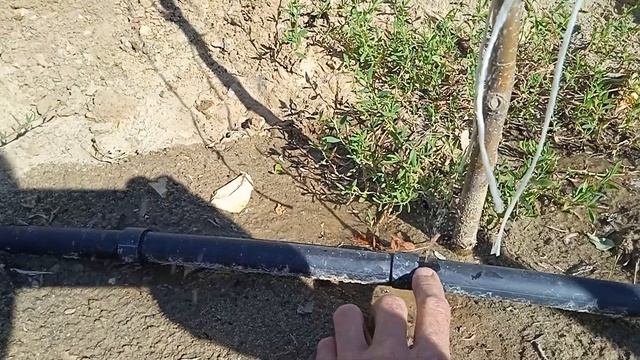 вечный капельный полив своими руками1