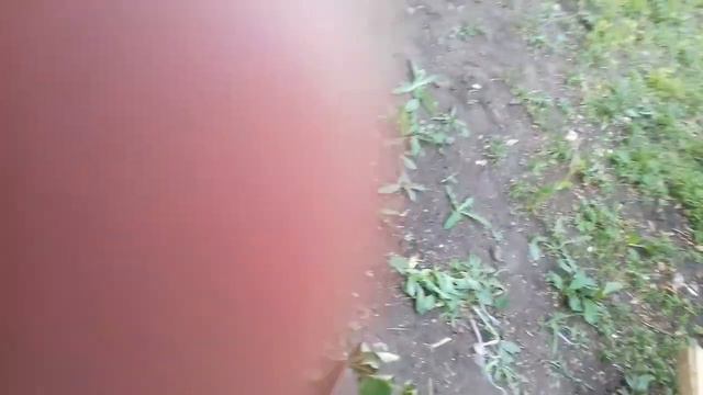 ЖГУ МУСОР И РАЗВОЖУ КОСТЁР БЕЗ УГЛЯ И РОЗЖИГА. ЧАСТЬ 2 . смотреть онлайн