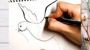 як намалювати голуба миру легко/как нарисовать голубя мира просто поэтапно