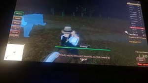 играю в ковбоев в роблоксе