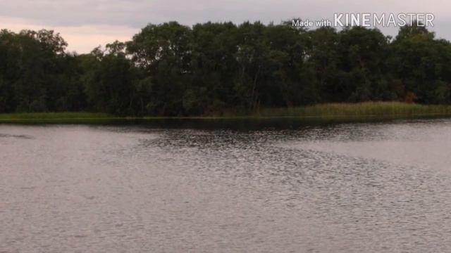 Завережье