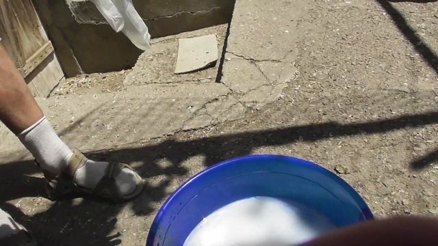 Профилактика голубей от вшей, клещей! Энтомазан С! 10 06 20г смотреть онлайн