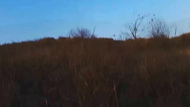 #МойЛюбимыйХолм! | Гуляем по сопке))) Самый сложный путь ^_^ смотреть онлайн