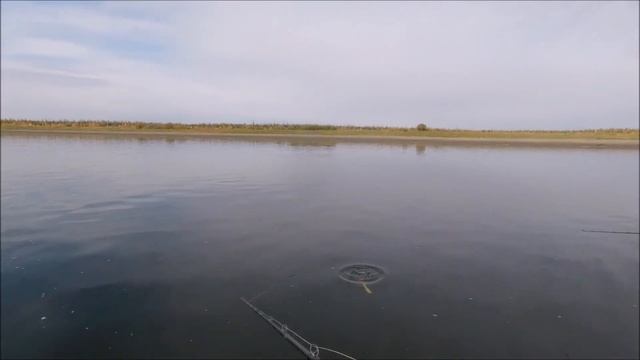 Новинки мая! Обзор снастей. Эпизоды с рыбалок на Биг Бейты смотреть онлайн