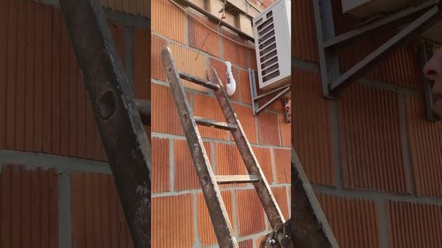 Заполнение стен утеплителем пеноизолом, жидким пенопластом, екоизолом.