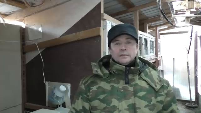 НАЧАЛ РАЗВОДИТЬ КРОЛИКОВ ДВОРНЯЖЕК Кролики содержание и разведение