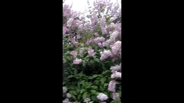 маршала захарова дом 16 корпус 1 юао