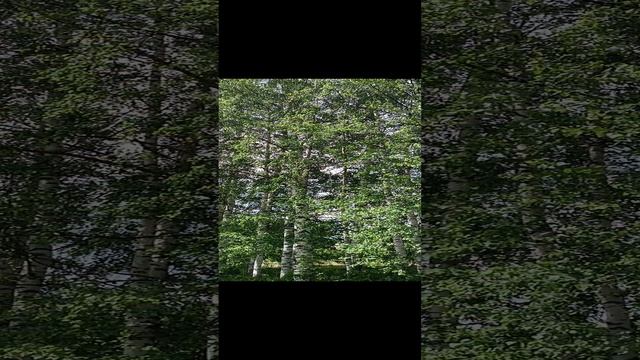 КРЕПИТЕСЬ, ЛЮДИ : СКОРО ЛЕТО!