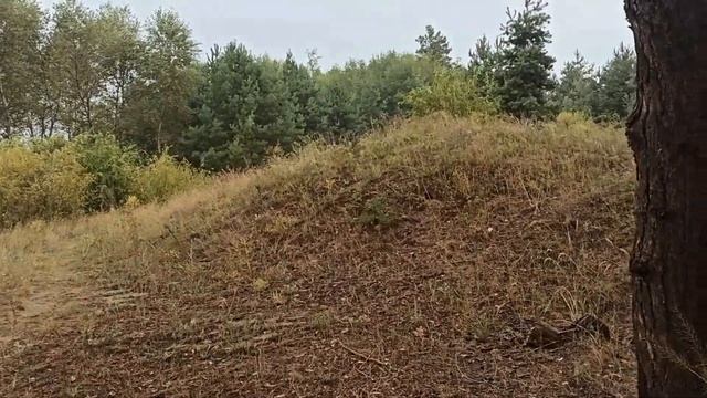 7 сентября народный праздник Титов день. Народные приметы и запреты. смотреть онлайн