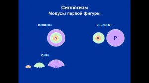 Философия Аристотеля Теория познания и логика