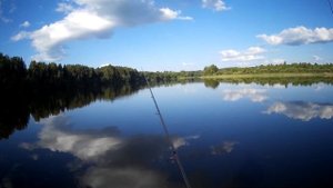 ловля и поиск судака на Вазузе