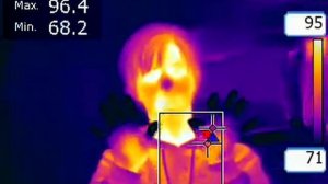 FLIR E60 Infrared Video