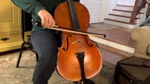 1/2 size cello