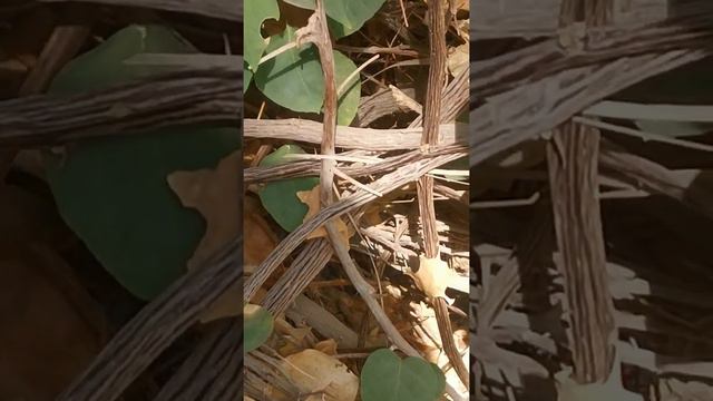 Зачем заповеди Бога? Стихи. Эстэр. смотреть онлайн