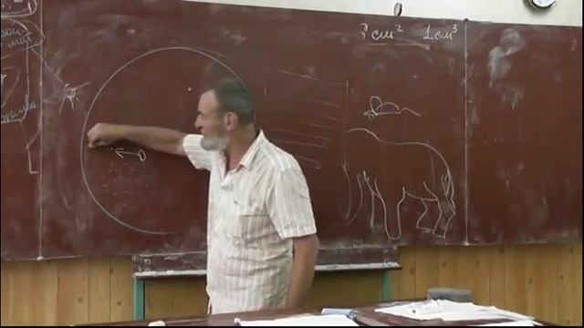 55 Теплокровные и холоднокровные, микрофлора, антибиотики