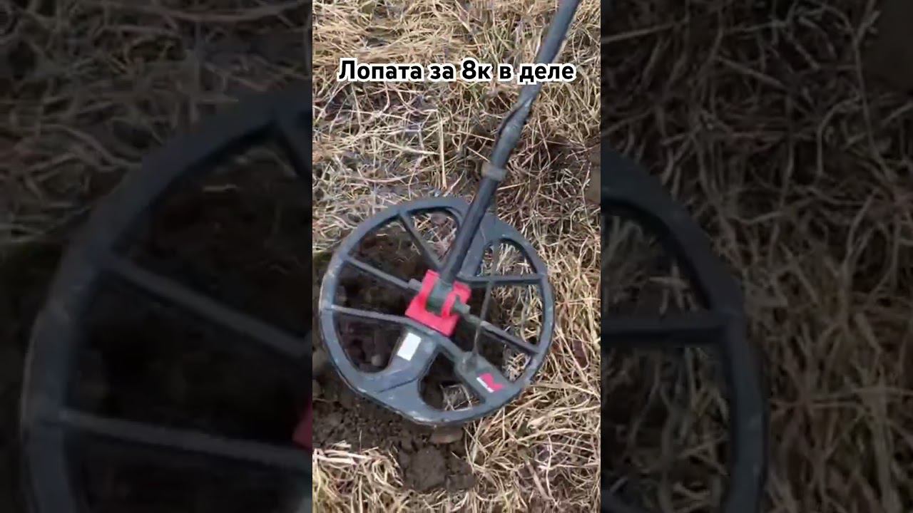 Очередная находка и лопата за 8К