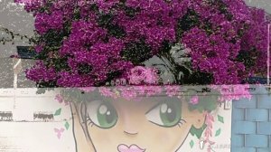 Живи со смыслом*   Природа и уличное искусство - СТРИТ АРТ