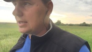 КОРМИМ СВИНЕЙ ЛЮЦЕРНОЙ