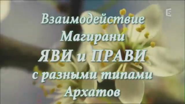 Магирани Яви и Прави взимодействие с Архатами Шивы, Вишну и Брахмы. Лада Артинская Юлона Стоянова