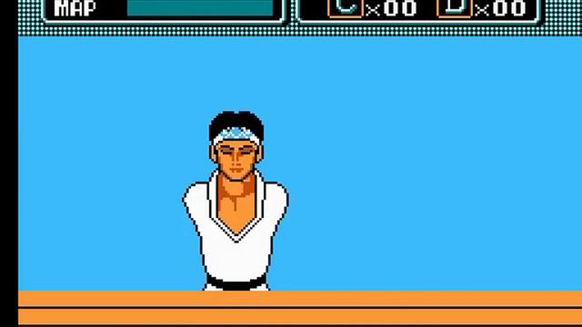 The Karate Kid (US) [NES]|