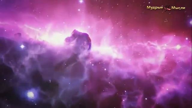 Мудрые мысли: Красивые высказывания о любви