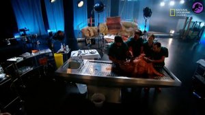 Лучшие новые документалки с Динозаврами 2021