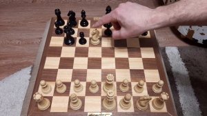 Шахматный конь за 5 ходов выигрывает партию. Дебютная ловушка для чемпиона. Шахматная ловушка.