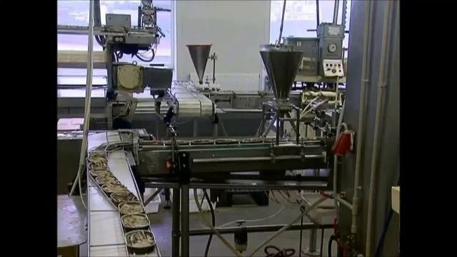 Оборудование для производства шпрот