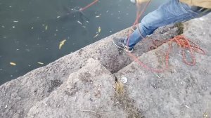 Поисковый магнит. Река Дон.