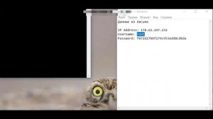 Подключение к серверу через Putty