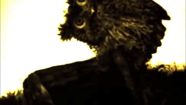 L.E.T.O. Грибочек смотреть онлайн