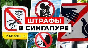 ТАКОЕ ВОЗМОЖНО ТОЛЬКО В СИНГАПУРЕ! За что МОЖНО ЛЕГКО получить ШТРАФ?| Сингапур. Часть 3