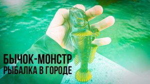 Бычок-Монстр. Рыбалка в Городе