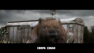 ГИМН ЧИСТОГО НЕБА _ ЦВЕТА НЕБА КАМБЕЗ _ СТАЛКЕР перезолив с ютуба