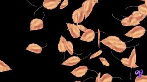 Листопад футажи на черном фоне