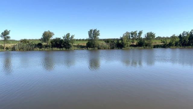 Ловись рыбка большая и маленькая!?? @NatalyaLim_official смотреть онлайн